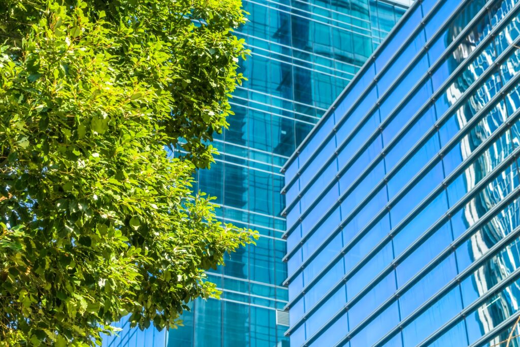 My CTFP Journey | Muhammad Ahmed Khan Bugti, Pakistan