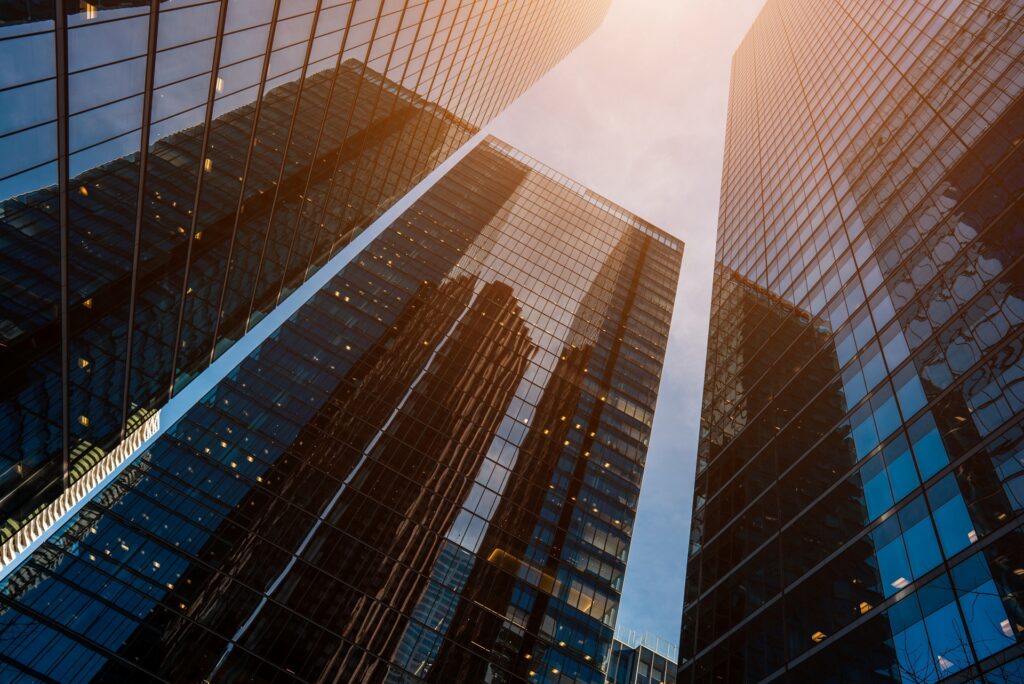 Corporate to consultant | What a career in international business strategy looks like